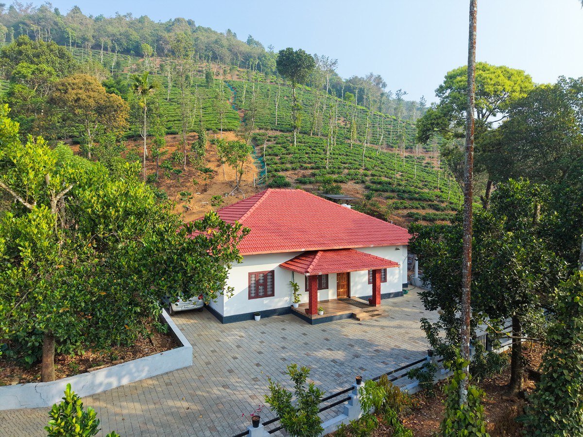 The Forests