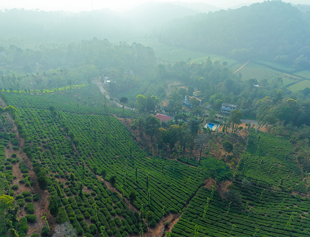 DJI_20260129082910_0083